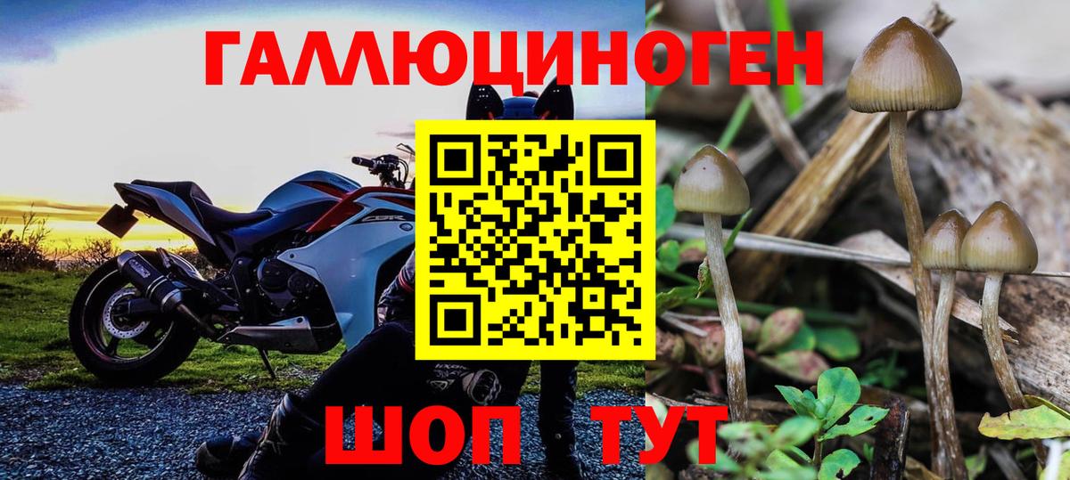 Новоуральск  Галлюциногенные грибы мицелий  Вход с VPN 